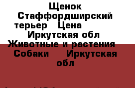 Щенок Стаффордширский терьер › Цена ­ 5 000 - Иркутская обл. Животные и растения » Собаки   . Иркутская обл.